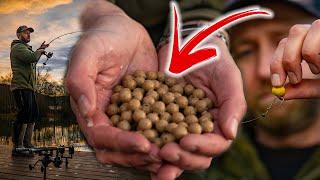 CATCH MORE CARP in WINTER  | Mark Pitchers | WIN  a Rod Support System