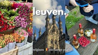 a day in the student city, best waffles in belgium? | leuven, belgium   vlogs pt 3