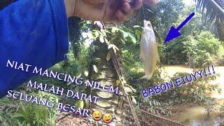 IKAN BESAR !!! Seluang BESAR !!! niat mancing Nilem malah dapat seluang besar E8