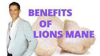 Benefits of Lion's Mane Mushroom for Cognitive Health, Gut Health & More!