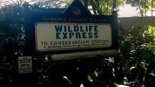 Wildlife Express Train Ride & Affection Section Rafiki’s Planet Watch Animal Kingdom Disney 2024