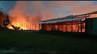 Kebakaran kandang ayam di tanah merah Samarinda@sang fakir75