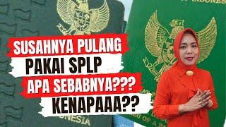 Hanya Punya SPLP Susah Pulang Ke Indonesia, Ini Penyebabnya‼