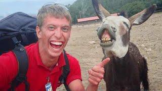 Laugh Uncontrollably! New Funny Animals Video 2024