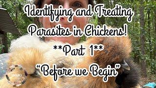 **Identifying and Treating** Parasites in chickens INTRO (Part 1/7)