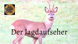 Rehwildjagd im Januar   HD 1080p