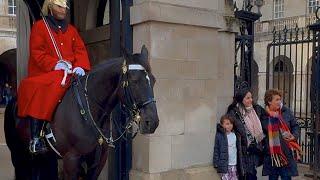 Majestic Moments: A Magnificent Day at Horse Guards in London!