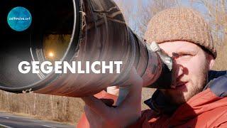 Vogelfotografie im Gegenlicht - Tipps und Tricks