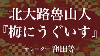 『梅にうぐいす』作：北大路魯山人　朗読：窪田等　作業用BGMや睡眠導入 おやすみ前 教養にも 本好き 青空文庫