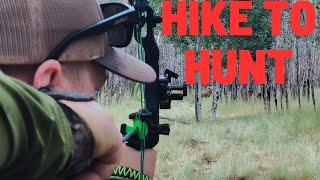 Is Hike to Hunt better than Total Archery Challenge?