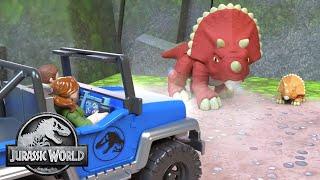 Can you Help Us Transport the Dinos? | Jurassic World | Kids Adventure Show | Dinosaur Cartoons