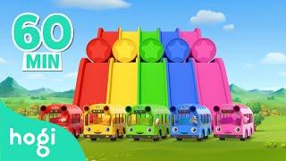 Learn Colors with Slide and Bus! | Compilation | BEST Colors for Kids | Pinkfong & Hogi