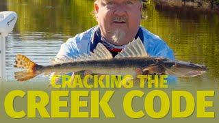 Creek Fishing with Soft Plastics - How to Catch Bream and Flathead