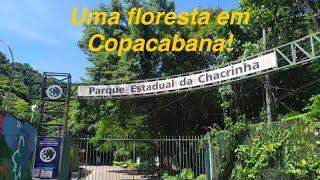 UMA FLORESTA EM COPACABANA