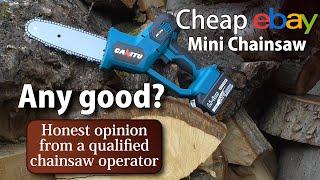 Cheap ebay Mini Chainsaw. Any good? Unbiased Review (by somebody who knows what he's talking about).