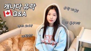 캐나다 유학 Q&A│유학 온지 5개월! 영어는 얼마나 늘었나요? 유학 가는데 얼마나 들었나요? 언제 한국 돌아오나요? 다~ 답해드립니다!│헬로음이유니