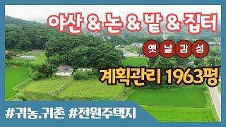 (21-136)[당진전원주택지] [당진토지]   논농사  밭농사  솔향가득 야산자락  옛날감성 그대로  귀농.귀촌 1963평