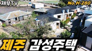제주도 감성 끝판왕을 소개 합니다 H-280 마음이 몽글몽글 해지는 러블리 주택이에요