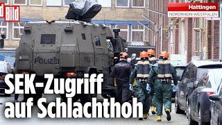 Drogen-Labore mit Polizei-Panzer gestürmt!