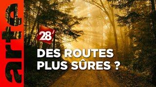 Intéressant : Comment rendre les routes de forêt plus sûres ?  | 28 minutes | ARTE