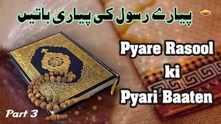 Pyare Rasool Ki Pyari Baaten Part 3 || Quran Aur Hadees