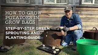 How to Green Sprout and Plant Potatoes in Grow Bags