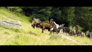 Heidi 2015 pelicula completa en español