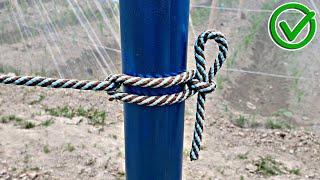 Great! Now you know the secrets of this powerful knot