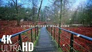 Stress Relief | 4K UHD Virtual Walk | asmr video for sleep and relaxation | Meditation nature.