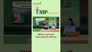 KNO3 CÓ VAI TRÒ GÌ TRONG VIỆC KÍCH MẮT CUA SẦU RIÊNG | An Thịnh Phát