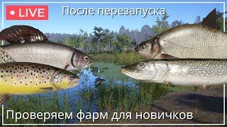 СТРИМ┃ФАРМ ДЛЯ НОВИЧКОВ НА СТАРОМ ОСТРОГЕ - РР4┃maXS1k