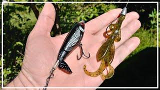 $1 Creature Bait vs. $12 Whopper Plopper! Cheap Lures Catch Bass Too