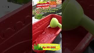 Temukan bibit buah dan sayur di sini