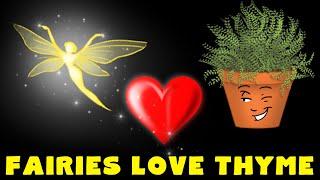 THYME MYTHS - Can thyme get rid of nightmares and attract fairies?