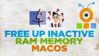 How to Free Up Inactive RAM Memory in macOS