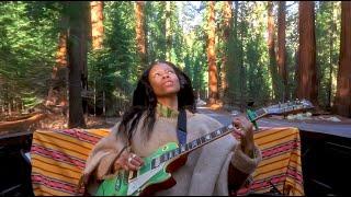 Redwood Resonance ᨒ (1hr) - Healing Guitar Frequencies - Heart Opening and Connecting to the Trees