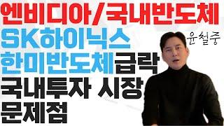 엔비디아 "AI칩 안 써" 애플 변심에 무너지는 국내 반도체 기업 중장기 투자의 의미를 상실 하나 개인투자자들의 변화