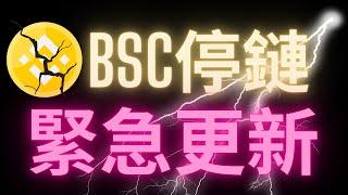 BSC幣安停鏈 緊急更新 我的BNB安全嗎?