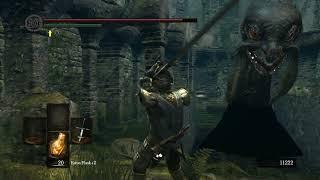 What happens when you "kill" Frampt in Dark Souls