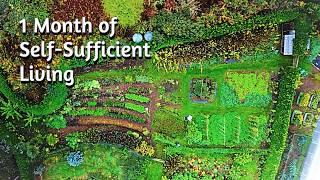 Self-Sufficient Garden UK - A Productive Permaculture Paradise - Vlog 28