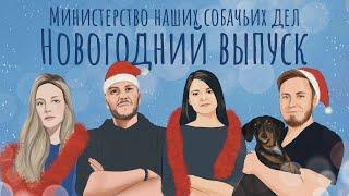 Новогодний эпизод