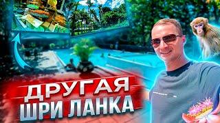 Другая Шри Ланка. Все включено как в Турции? Самый дорогой чай