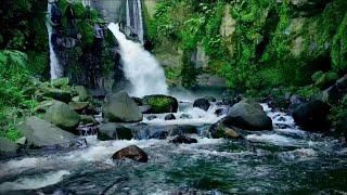 Beautiful Waterfall Stream In The lush Forest and Mossy Cliff To Instantly Melt Your Stress Away