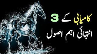 Kamyabi Ka Raaz | How Be Successful | Aqwal e Zareen | Noor Golden Words