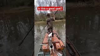 Gotta get them feet wet to find the ducks!! #duck #duckdog #doglover #duckhunting #ducks