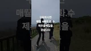제주올레길 걷기모임 #제주도올레길 #힐링 #깊은치유