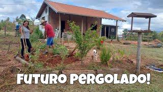 Consertando os estragos da chuva, limpando e fazendo as medições para o Futuro Pergolado/Quiosque!