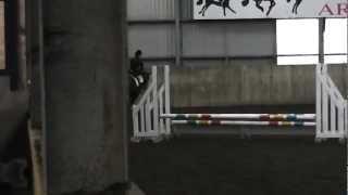 Horse trips over jump