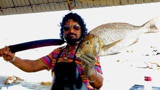 Fast And Perfect Spangled Emperor Fish Cutting Skills | Fresh Fish Sri Lanka