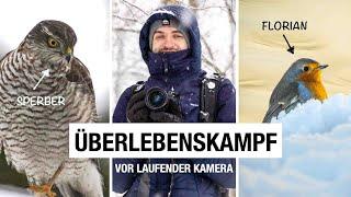 Naturfotografie Drama im Schnee | Mit dem RF 100-500